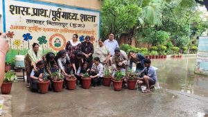 Tree Plantation