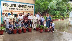 Tree Plantation