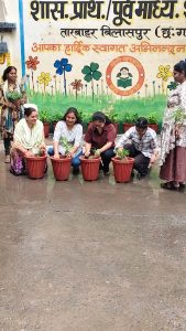 Tree Plantation