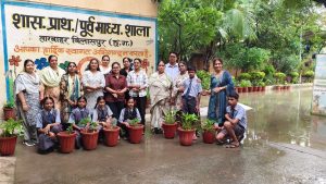 Tree Plantation