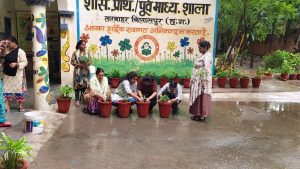 Tree Plantation