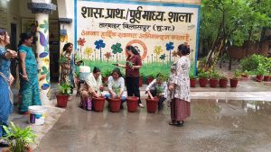 Tree Plantation