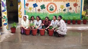 Tree Plantation