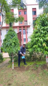 लायंस क्लब बिलासपुर संगम द्वारा सेंट जेवियर हाई स्कूल भरनी में किया 500 पौधों का वृहत वृक्षारोपण