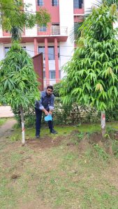 लायंस क्लब बिलासपुर संगम द्वारा सेंट जेवियर हाई स्कूल भरनी में किया 500 पौधों का वृहत वृक्षारोपण
